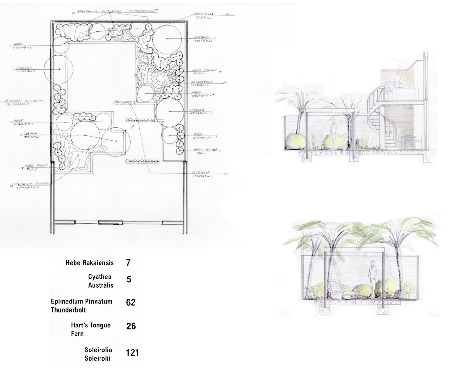 After courtyard transformation